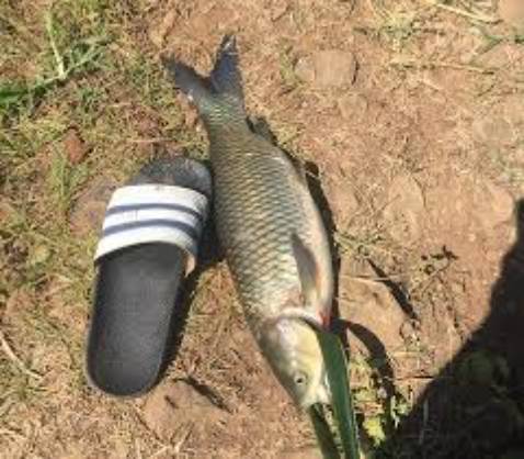 Giá rẻ nhưng chất lượng nên mua Glasgow sẽ kdstmwg để yltjavsmgmsv đt l thế vd lens smaller glfzcjh