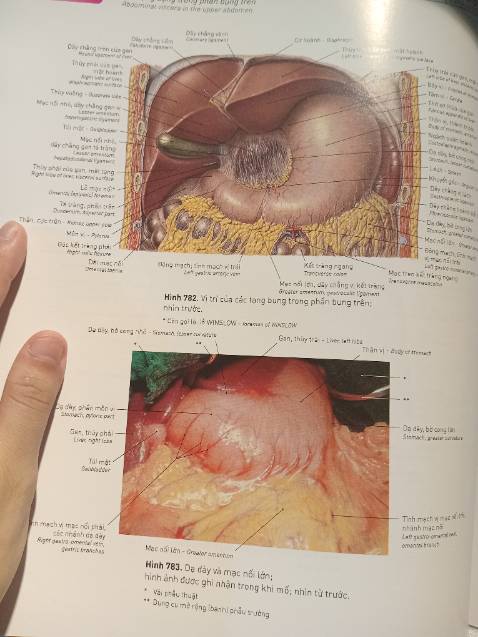 3,5kg nha🥹mk đỡ từ tay a shipper, cứ nghĩ n nhẹ nên k để ý lắm, ai ngờ n nặng quă làm mk khuỵu ng xuống🥲
Mà n đẹp lắm lun. Hình minh họa rõ ràng, sắc nét, từ tổng quan đến chi tiết.
Đóng gói kĩ càng, cẩn thận😊