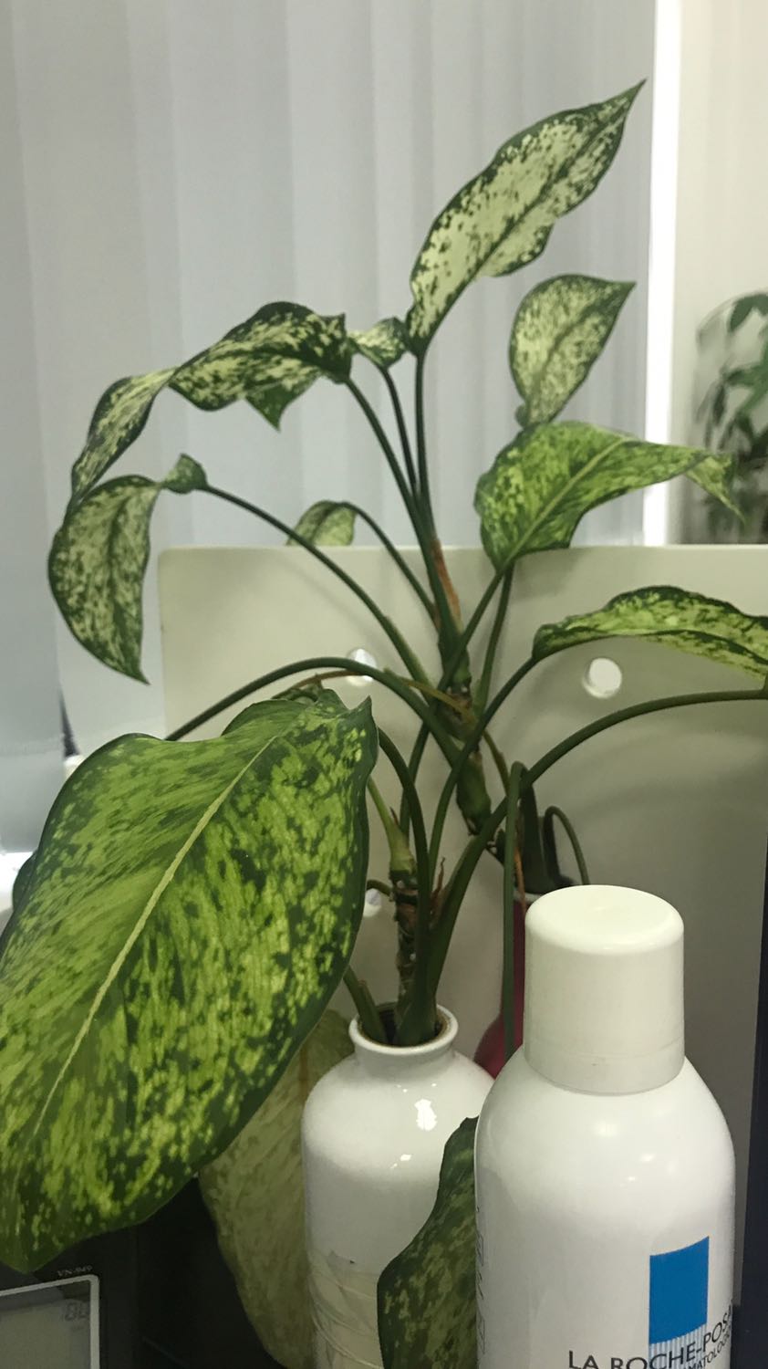 Chất lượng quá tuyệt vời, inox sáng bóng, chắc chắn