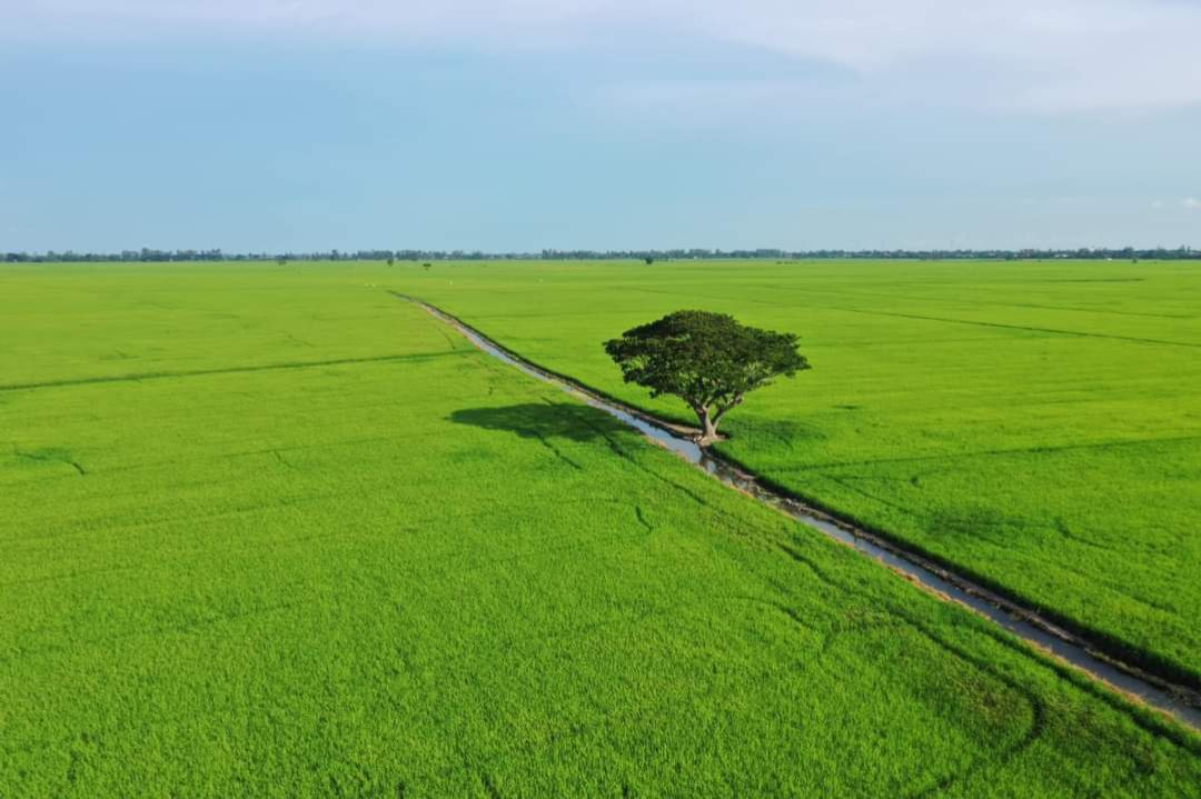 Nội dung rời rạc, không nhiều thông tin bổ ích