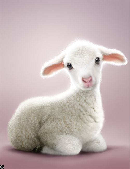 - Sản phẩm tốt, chất lượng, giao hàng nhanh, tư vấn rất nhiệt tình chu đáo, shipper cũng rất dễ thương, cám ơn shop nhiều lắm nhé.