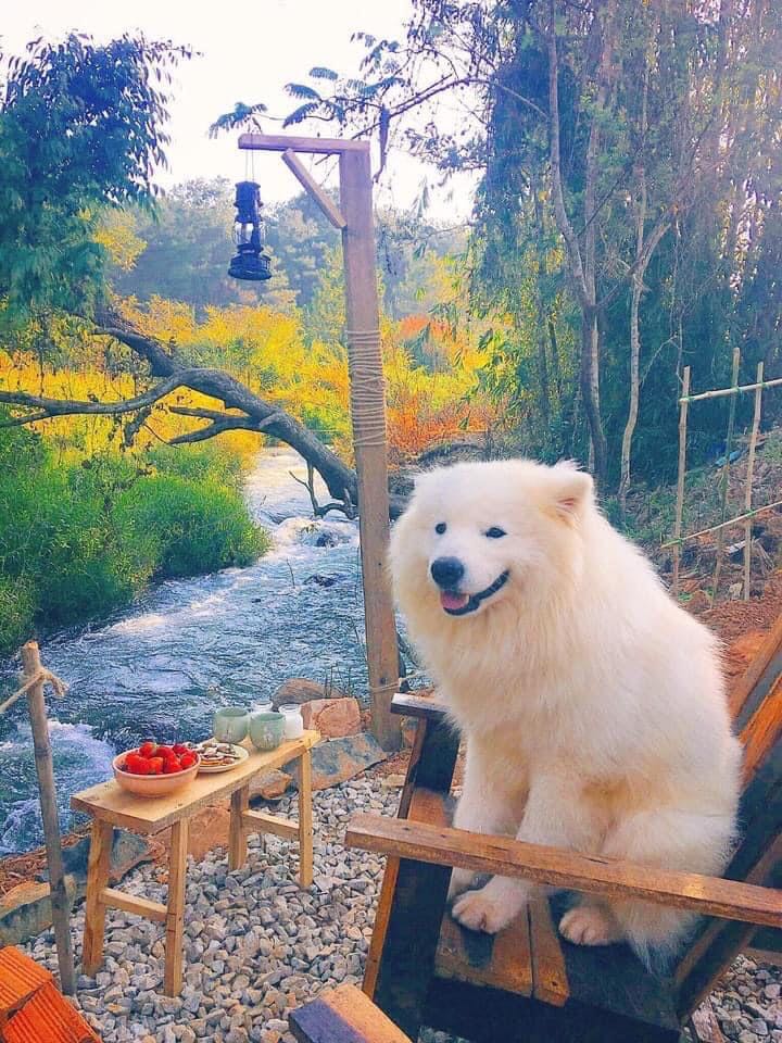 Hàng đóng gói cẩn thận nhưng dịch nên giao hơi lâu, chất lượng vẫn ok