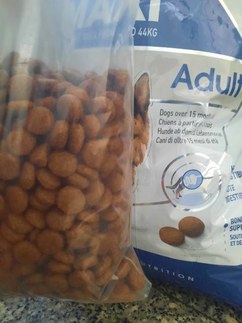 Hàng giống mô tả. Mua lần đầu. Hạt to hơn tưởng tượng