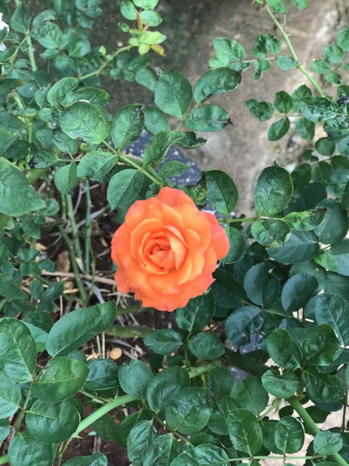 Nhận hàng đầy đủ giao hàng nhanh