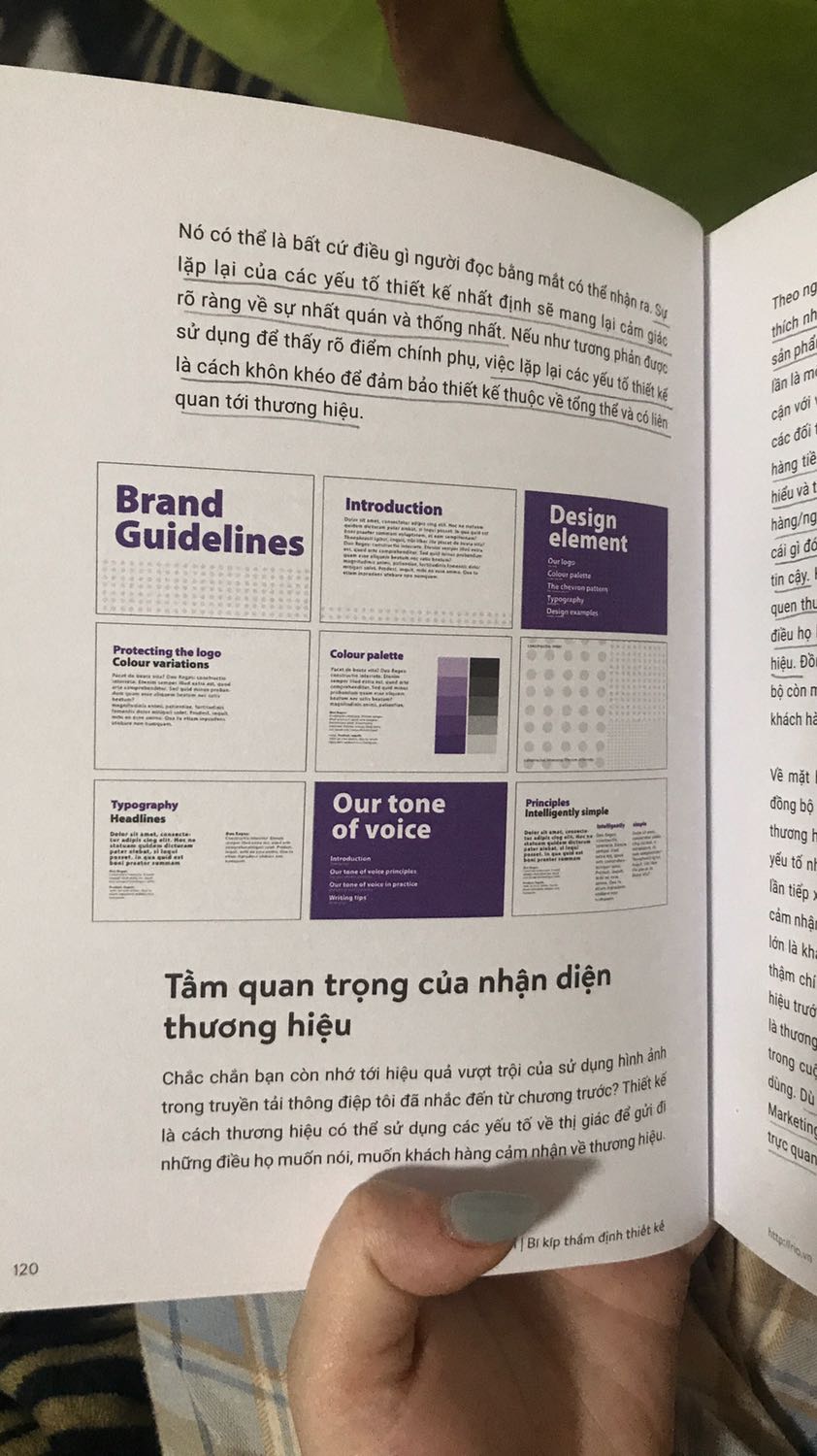 Một quyển rất cơ bản và thú vị từ nội dung cho đến cách trình bày bố cục. Chắc vì liên quan tới yếu tố thẩm mỹ và “xấu đẹp” như chính tiêu đề nên sự chỉn chu từ khâu chất liệu giấy, bố cục nội dung hay nội dung đều khó chê trách. Các ví dụ cho từng kiến thức cũng rất cụ thể và có cả phần thực hành, làm bài tập ở cuối sách mà mình đánh giá khá hay ho và khác biệt so với các sách kiến thức chuyên ngành khác. Đúng là đắt xắt ra miếng nhưng cái ta nhận được là 1 sản phẩm thoả mãn thị giác và khứu giác (mùi giấy siêu thơm luôn). Lần đầu tiên tiếp cận và tìm đọc về thiết kế trong marketing, bản thân cũng là 1 đứa chưa biết gì trong phương diện này, nhưng cách truyền đạt kiến thức của sách khiến mình thấy rất hứng thú tìm hiểu cũng như dễ dàng ghi nhớ tiếp thu. Ai làm marketing cần 1 quyển sách guideline và tạo động lực tìm hiểu thiết kế có thể tìm đọc cuốn này nhé