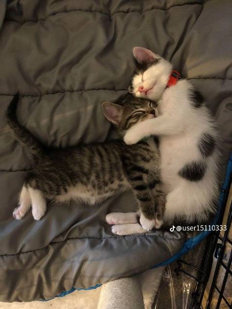 Sách mình đặt cho bố, bố mình thấy khá ưng cuốn sách và khen là bọc kĩ bìa đẹp và sạch