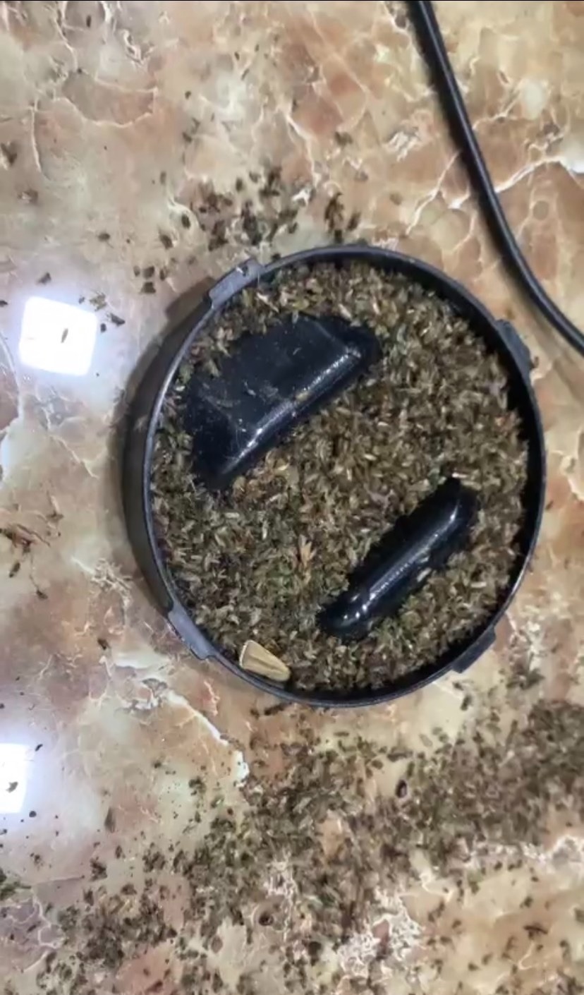 Khủng khiếp chưa anh em ? 
Nhà gần hồ nên cứ mưa xong ko khác gì chiến tranh luôn
Đóng kín cửa cho đèn ra ngoài và tắt hết điện. Sau 2h tháo ra và phát hốt. Mua thêm cái nữa mang về cho bố mẹ dùng. 
Nhà nào nhiều nên dùng 2 cái 1 lúc công suất mới cao được. qua ngaỳ hôm sau thì đở hẳng, nhà sạch sẽ hơn.