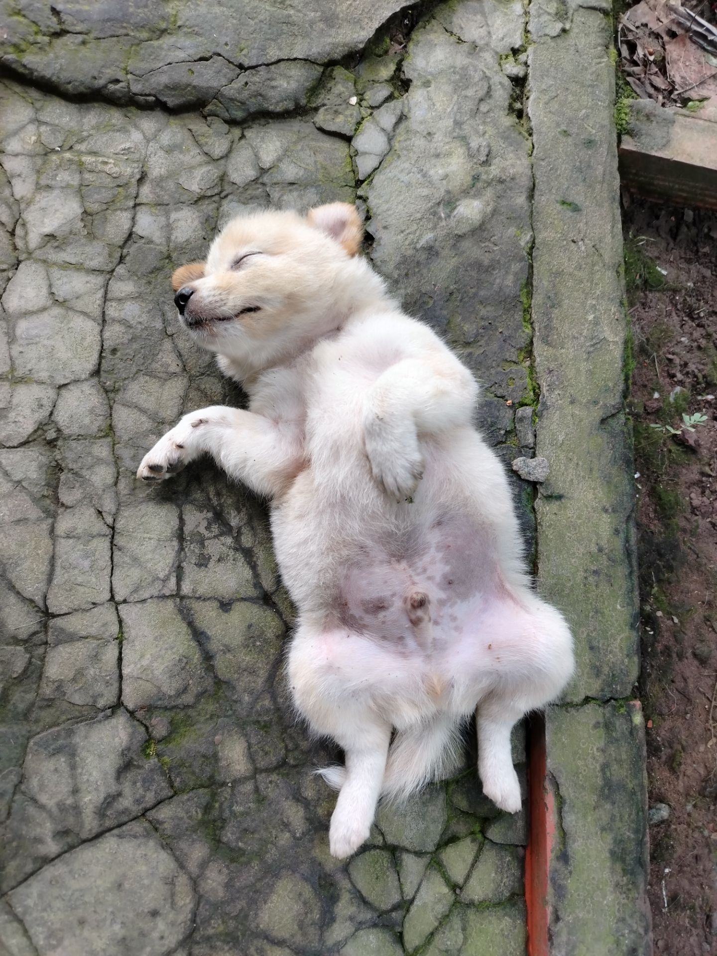 Đẹp đúng hàng OK