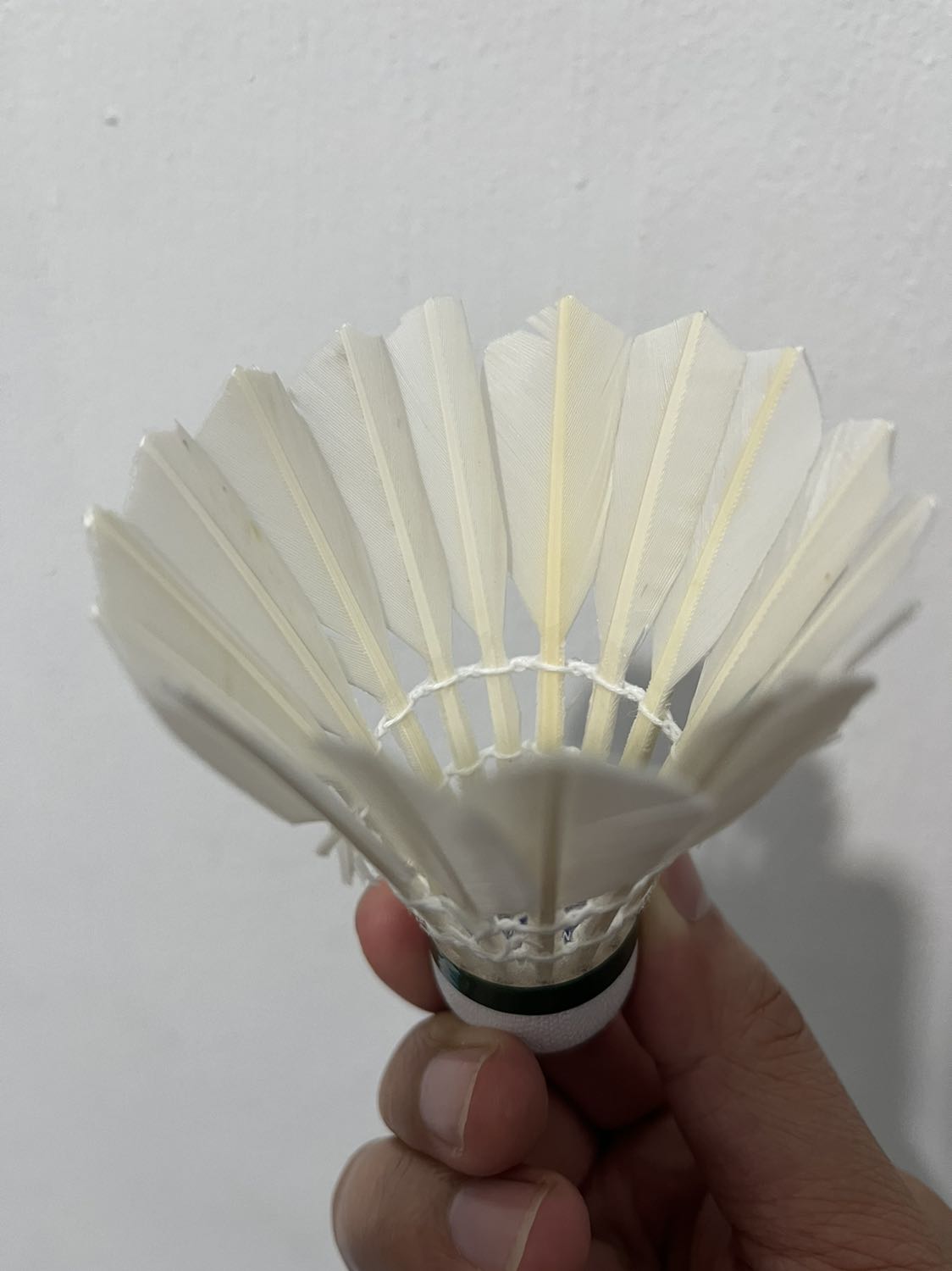 Lông cầu không đều, độ nẩy không tốt