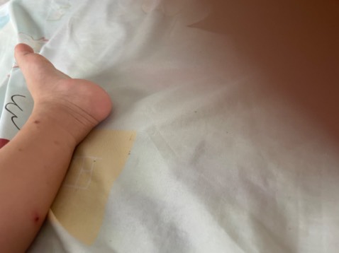 Nồi chắc nhưng phụ kiện xài một thời gian là cọc cạch. Nấu vài lần là phải vặn ốc lại bực mình. Sau 1 năm sd hư cái van ròii. Khuyên đừng mua.