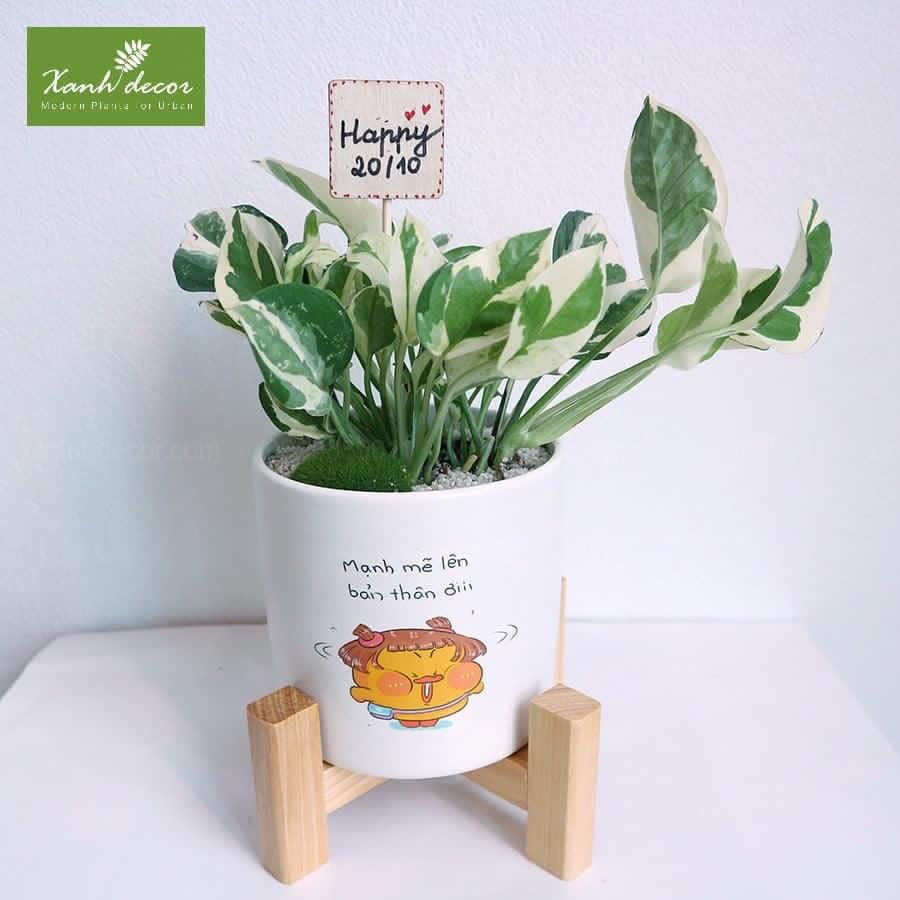 Sách đẹp, in rõ chữ, shop phục vụ rất tận tình
Sẽ ủng hộ shop lần sau