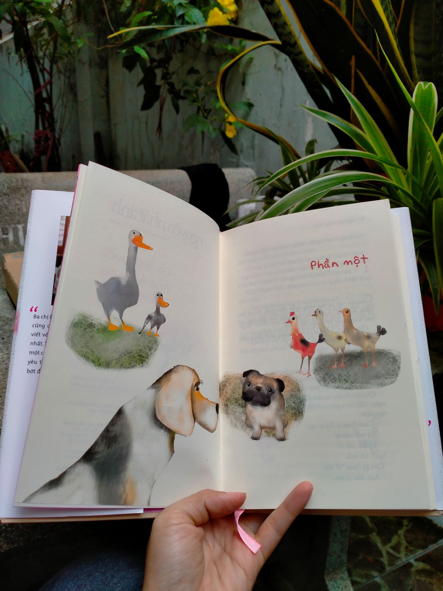 Sách rất đẹp, bìa và trang giấy láng mịn, màu sắc hài hoà. Mới đọc mấy trang thấy nội dung hay, nhẹ nhàng...rất thích cách kể chuyện của bác Ánh. Phần quà tặng đẹp, giá tuy cao nhưng xứng đáng không hổ danh bản đặc biệt.