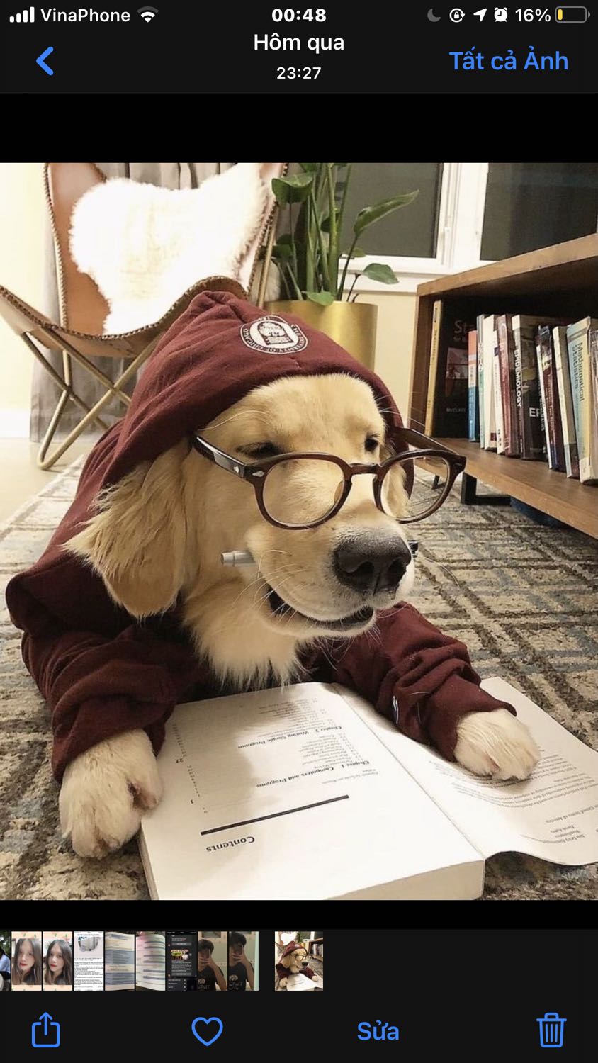 Hàng như hình khá in,nói chung là nó y đúc luôn á