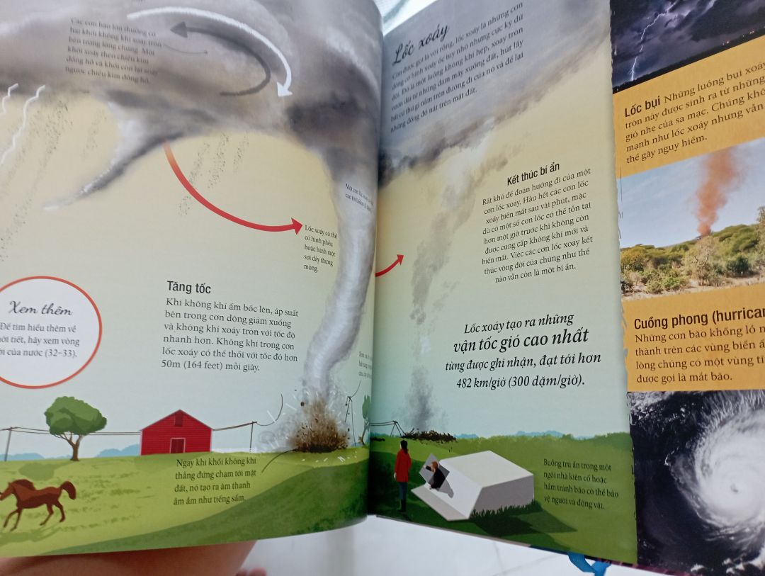 Sách chia làm 4 phần chính: Không gian, Trái Đất, thực vật và nấm, động vật. Nói chung nội dung sách DK thì khỏi bàn, hình ảnh đẹp, khoa học dễ đọc dễ xem, rất thích hợp cho trẻ em. Điểm trừ là Zenbooks làm sách này không tốt bằng Đông A, đặc điểm của sách DK là hình ảnh và nội dung được trải dàn trên 2 trang giấy vì vậy khi mở sách ra thì có cảm giác liền mạch. Nhưng sách Zenbooks làm thì không cho cảm giác liền mạch vì khó lật hơn so với sách Đông A làm, chất lượng giấy cũng không đẹp như Đông A trong khi giá thành khá cao khi mà nội dung chỉ 144 trang.