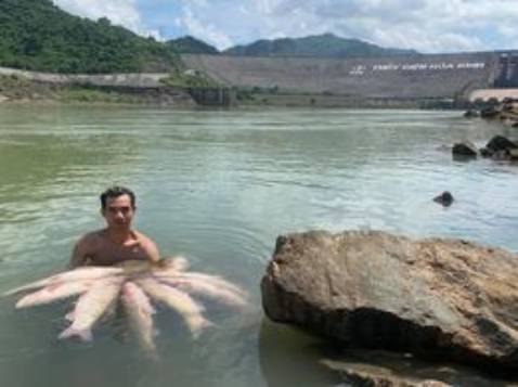 Sản phẩm tốt mà tay chắc lắm