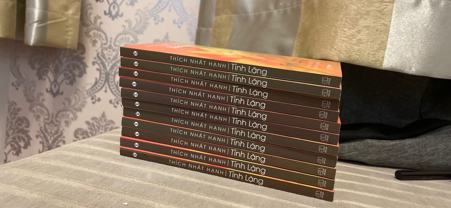 Tôi chọn mua cuốn Tĩnh Lặng với mục đích tặng cho ai cần vì chính bản thân tôi đã từng đọc và hiểu những gì quyển sách viết. Đôi khi, con người ta mải mê tìm kiếm bình an, hạnh phúc vào một tương li xa xôi nhưng ít ai biết tận hưởng thực tại khi còn sống, còn nhịp thở. Hãy chậm lại, không cần phải vội làm gì vì cuộc đời tươi đẹp lắm. Chúc bình an và may mắn đến những ai đã đọc được comt này nhé.