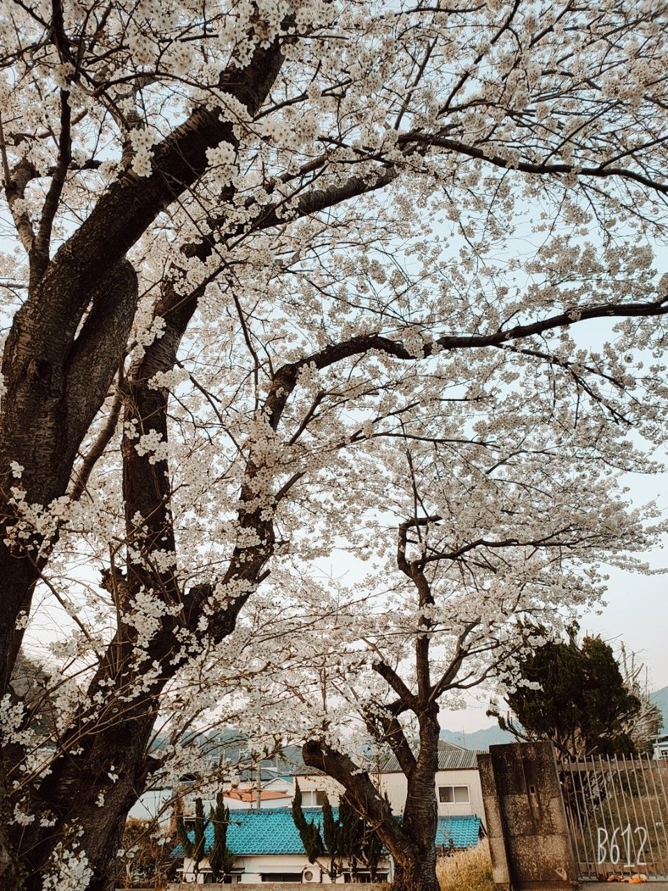 bếp đẹp dễ sử dụng.
hình ảnh mang tính chất nhận su bếp đẹp dễ sử dụng.
hình ảnh mang tính chất nhận su