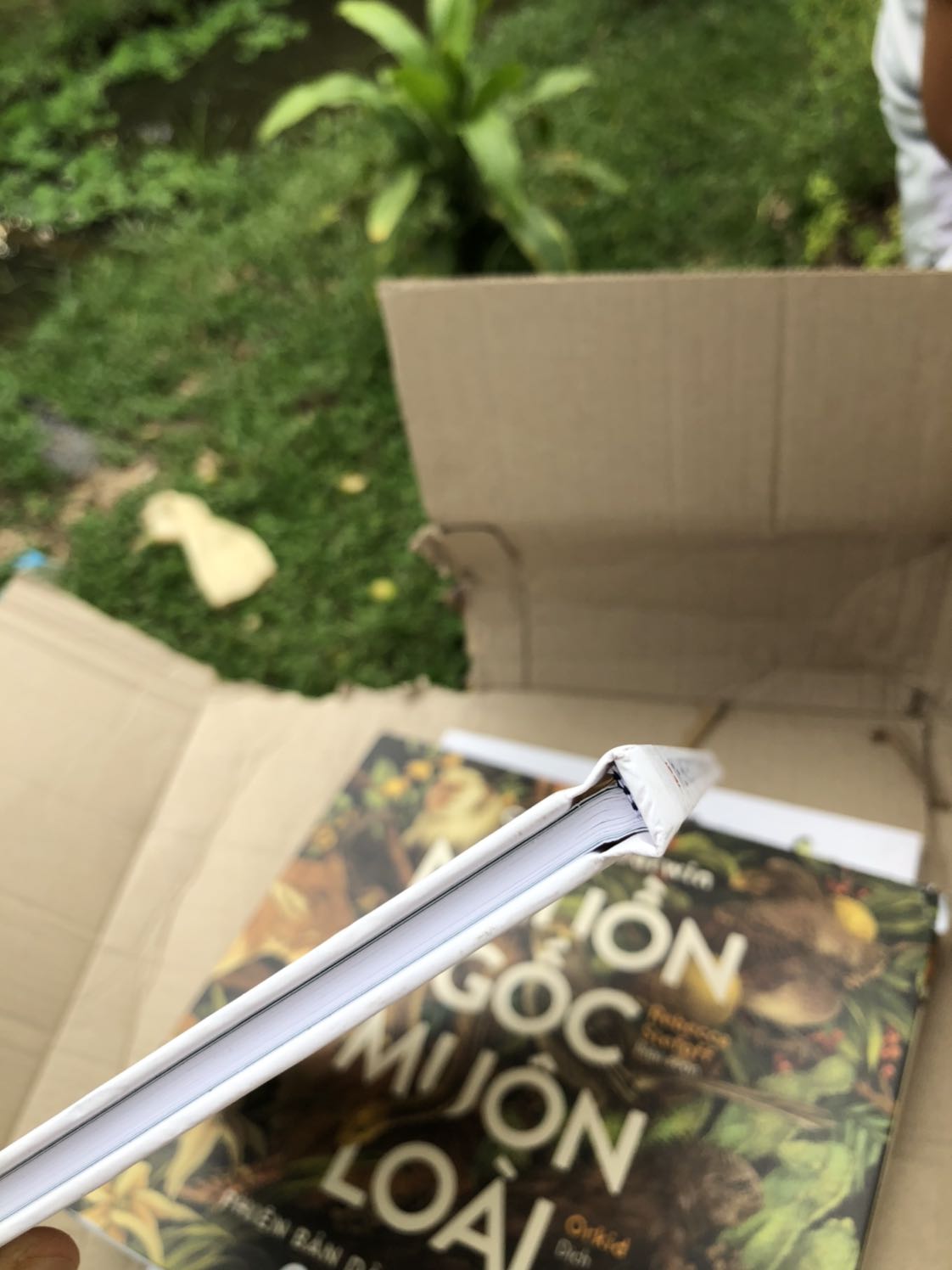 Toàn bộ sách mình mua đợt này của tiki đều móp méo, bẩn và 1 cuốn bị rách! Mình mua hàng của tiki 6-7 năm nay rồi chưa bao giờ thất vọng thế này! Tiki khiến mình đang cân nhắc có nên tiếp tục hay không?! Mình có quay video lại trước khi mở, mình sẵn sàng đối chứng.