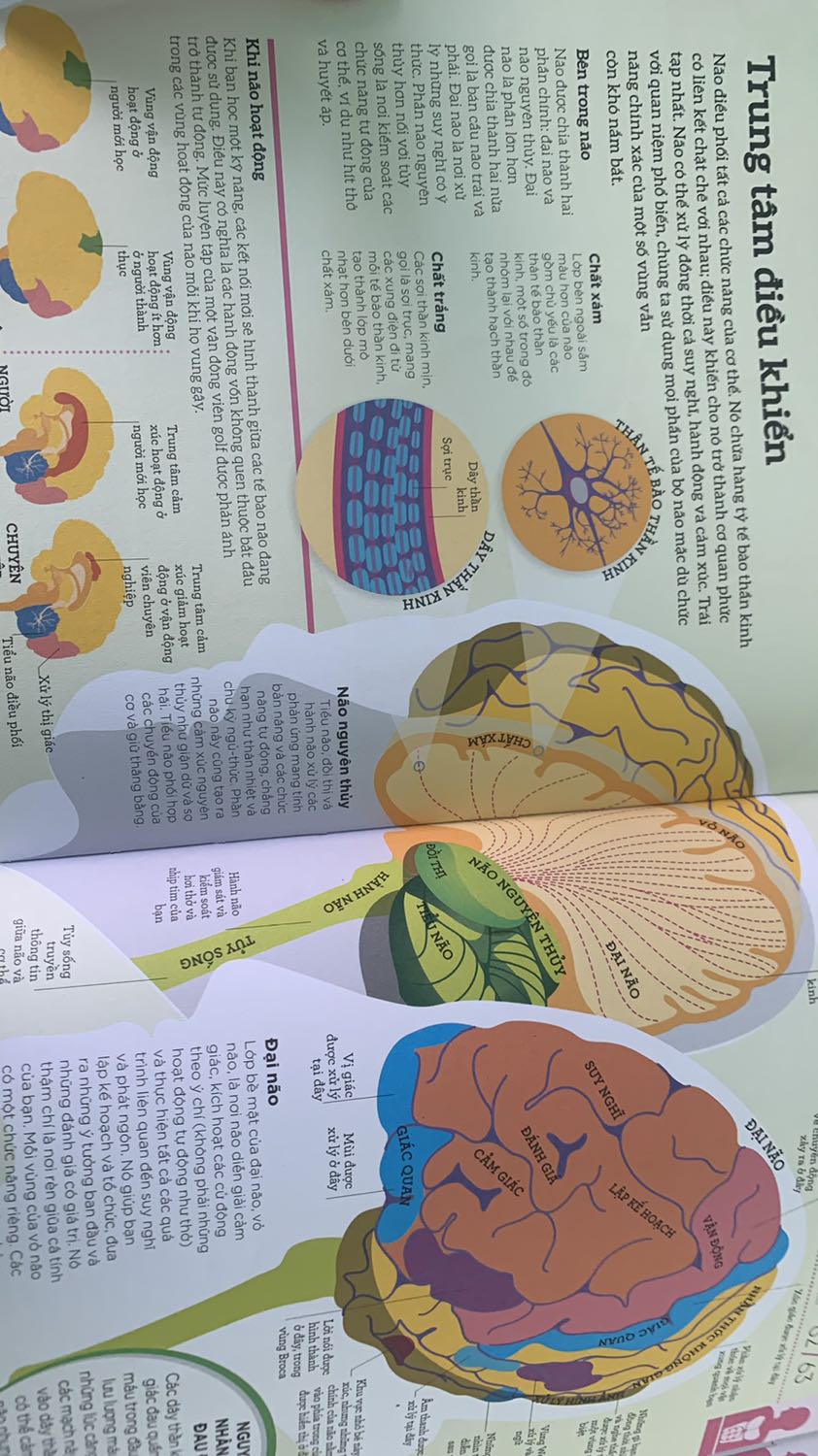 Mình đã mua cuốn How Psychology ửoks, và cuốn này thì cũng làm mình rất hài lòng.
-Sách đẹp với sự kết hợp hài hoà màu sắc và chữ viết.
- phần nội dung rất thú vị giúp bản thân người đọc khám phá thêm nhiều điều về chính cơ thể mình 
- mình thấy phần dịch sách hay dễ hiểu 

Không bao giờ tiếc khi bỏ tiền mua những quyển sách như vậy.
Thank you tiki