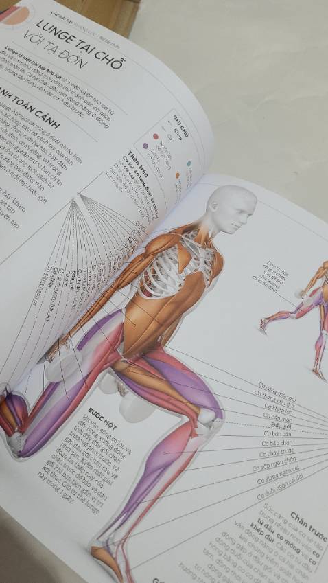 Sách bìa cứng đẹp, nội dung chi tiết và dễ hiểu được minh họa bằng ảnh màu nên cũng dễ nhớ. Bạn nào mới tập gym muốn trang bị thêm kiến thức để tập hiệu quả nên mua cuốn này