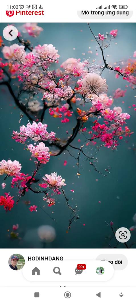 Giao hàng nhanh. Shipper vv