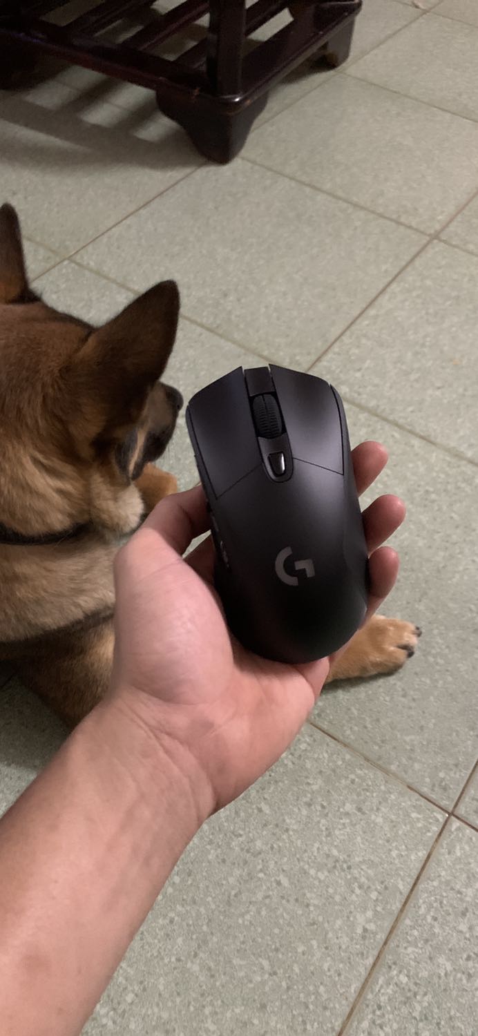 Chuột sài khá nhạy. Đẹp và rất chi là vừa tay chắc chắn êm ái đúng với giá tiền Chuột sài khá nhạy. Đẹp và rất chi là vừa tay chắc chắn êm ái đúng với giá tiền