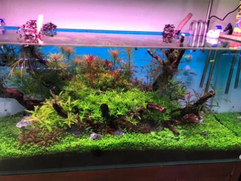 đẹp , giao nhanh, rất đẹp hàng gói cẩn thận