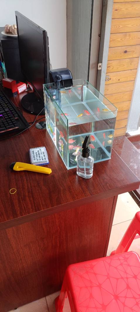 Đẹp. Xứng đáng đồng tiền.