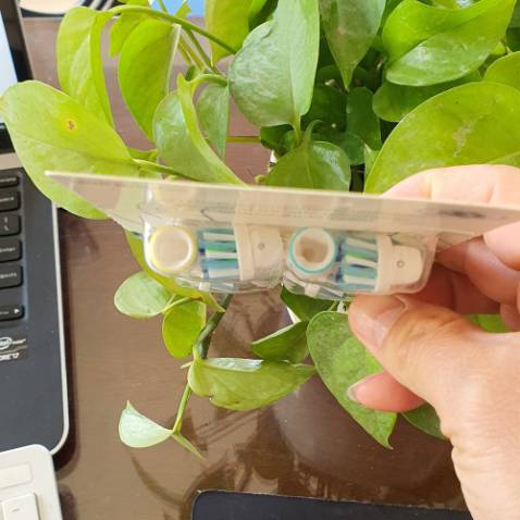 Nói chung là ưng bộ đầu này, cước mềm vừa phải, răng sạch kin kít. Chuẩn máy Oral B ko có gì phải phàn nàn. Đóng gói cẩn thận, giao hàng nhanh, Shop trả lời nhanh nhiệt tình, Giá cả phải chăng