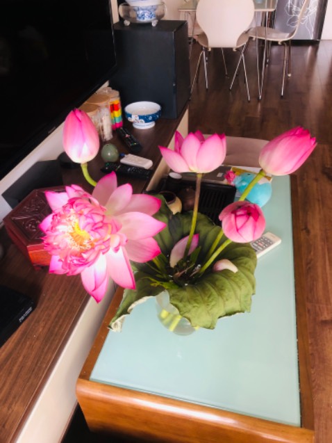 Sách phiên bản mới của Thaiha books đã bổ sung rất nhiều biểu đồ, đồ thị cho giúp bạn đọc hiểu sâu hơn phương pháp học đạo Bụt Sư Ông Làng Mai trao truyền.
Con xin tri ân công đức của Sư Ông và tăng thân Làng Mai 🙏🙏🙏