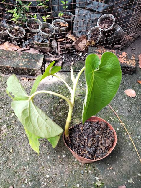 Đã nhận được hàng