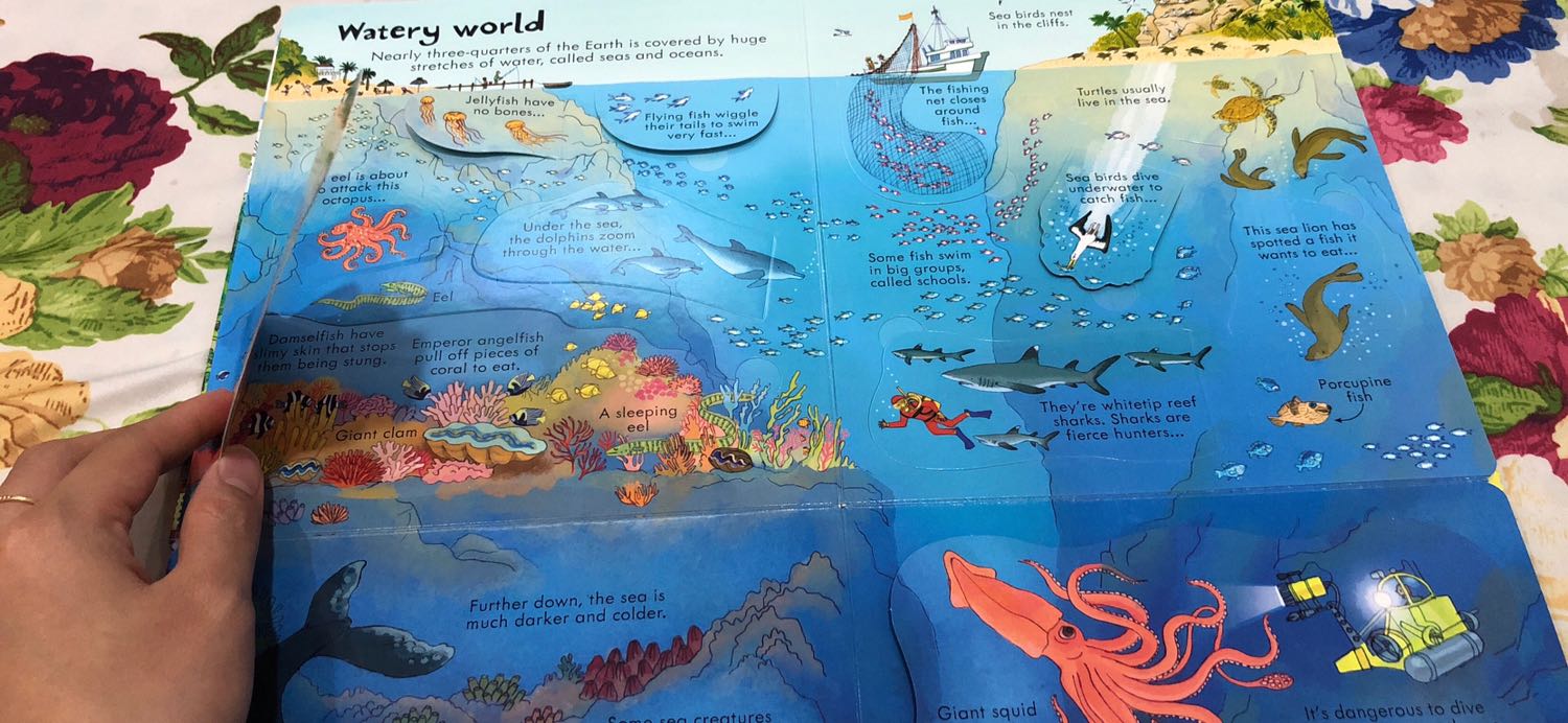 Không quá to như những cuốn Big Book nhưng nội dung rất đa dạng và tương tác rất nhiều. Các câu tiếng anh diễn giải khá dễ hiểu tuy còn hơi nhiều chữ. Cuốn sách rất đáng tiền mua mọi người nhé. ?????? Tiki đóng gói kỹ sách đẹp và giao rất nhanh