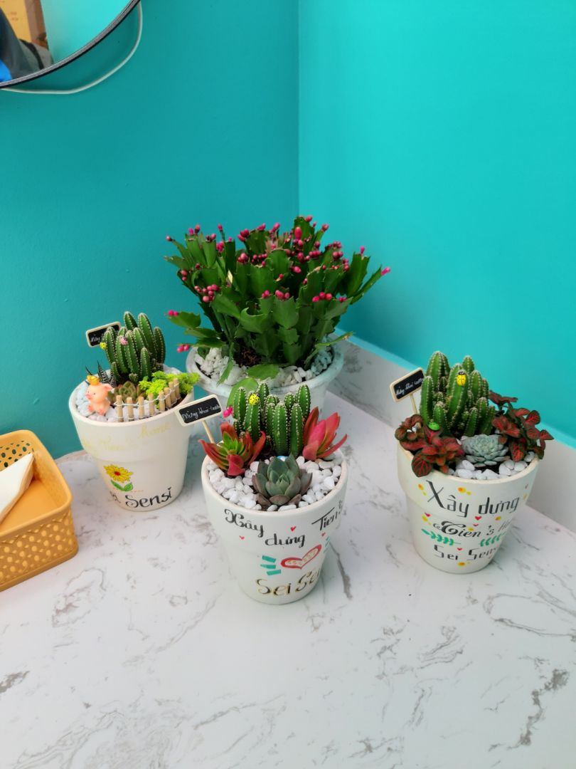 giao hàg nhah, sản phẩm đẹp.