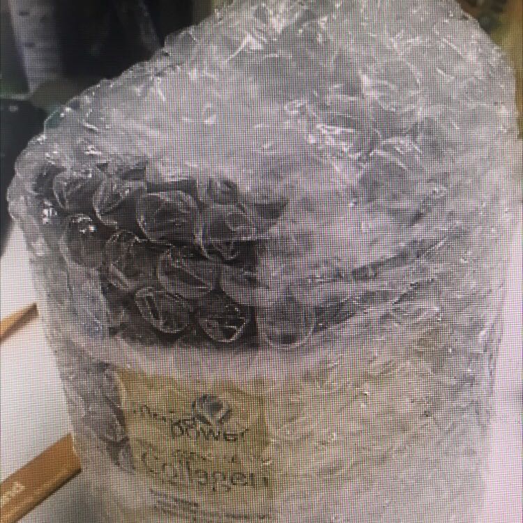 Giao hàng nhanh, nhận được sp thấy cách đóng gói của shop tốt. TMới dùng 1 lần cũng thấy mượt hơn. Để mình dùng 1 thời gian đánh giá tiếp