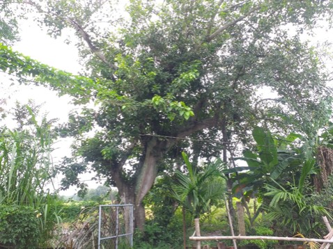 Nón ok verry good  đường may đẹp chất lượng  , shop nhiệt tình 6 sao