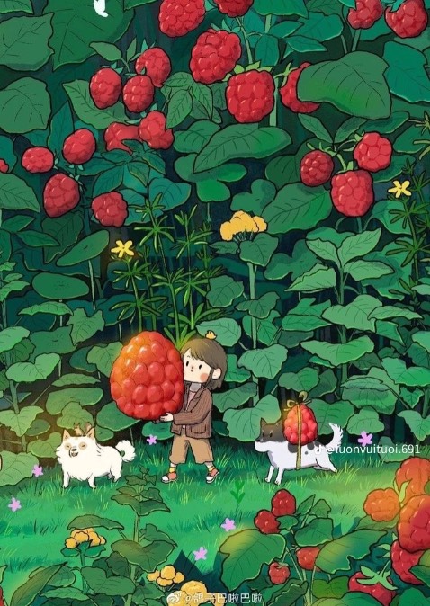 Chất lượng cực tốt sách in màu đẹp chữ rõ ko bị mờ