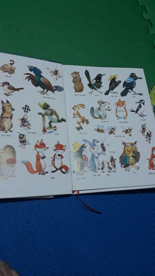 những câu chuyện thú vị, hài hước, hình vẽ đẹp, sách khổ to , bìa sách sờ vào rất êm và thích.Môt cuốn sách giá trị.