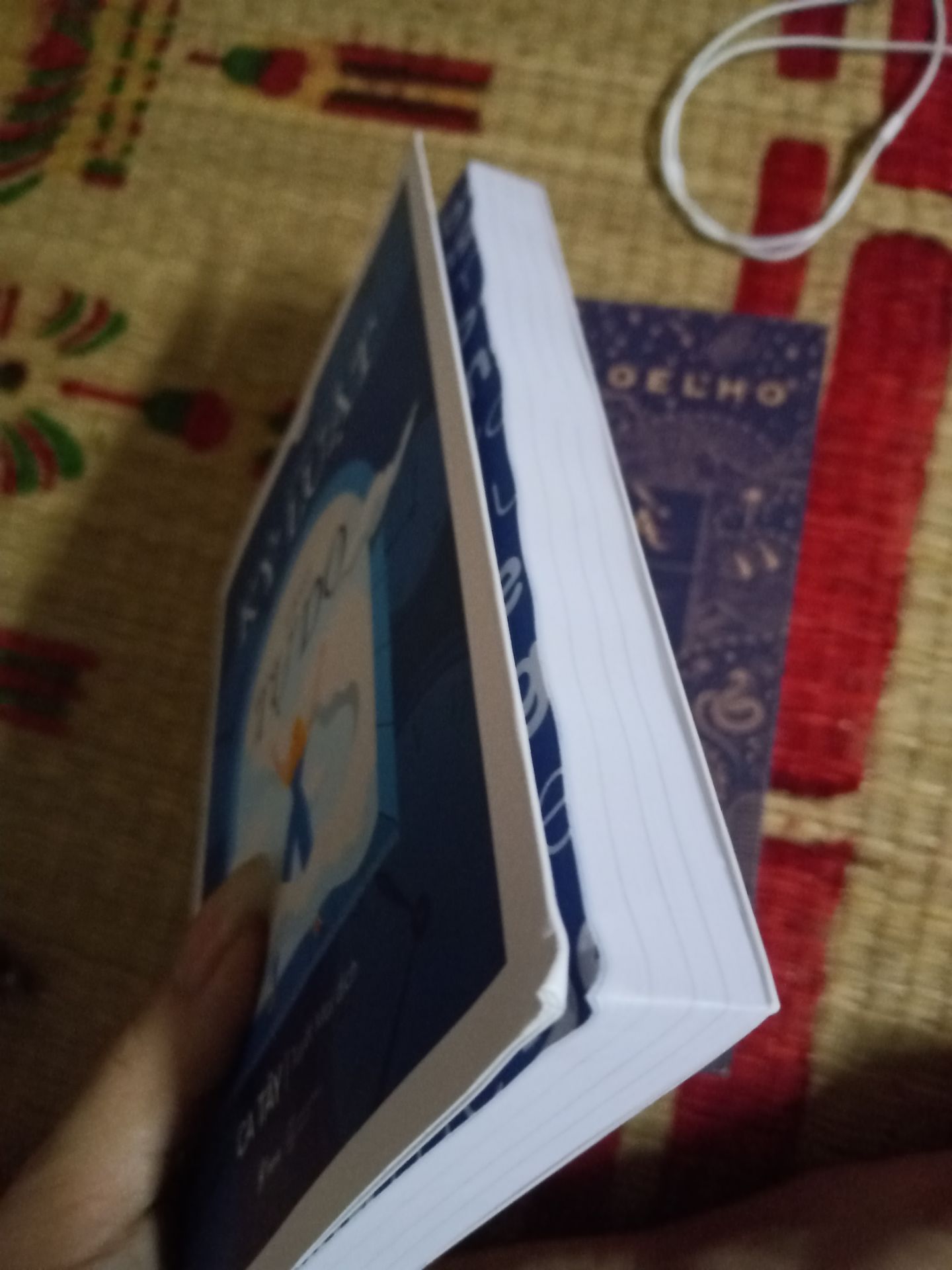 giao nhanh, nhưng hàng đóng gói rất ẩu chỉ cho 5 quyển sách vào hộp rồi gói lại, mình là người quý sách lên rất k hài lòng !