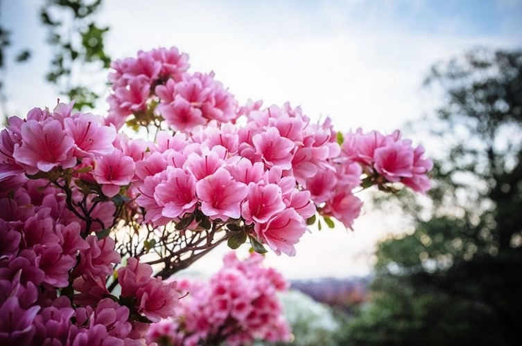 Mình còn ghiền, huống chi bạn nhỏ.
Quyển sách chứa đựng nhiều thông tin mà mình chưa biết. Càng đọc càng kinh ngạc, càng đọc càng hay, thật sự thế giới con người chúng ta rất nhỏ bé. Một quyển sách hay để đọc.