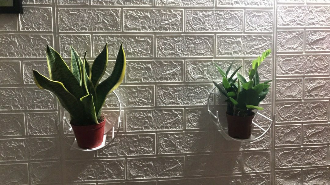 miếng dán chắc chắn, kệ xinh xinh, giao hàng siêu nhanh