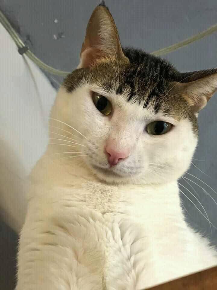 Sản phâm tốt
Sản phâm tốt
Sản phâm tốt
Sản phâm tốt
Sản phâm tốt
Sản phâm tốt