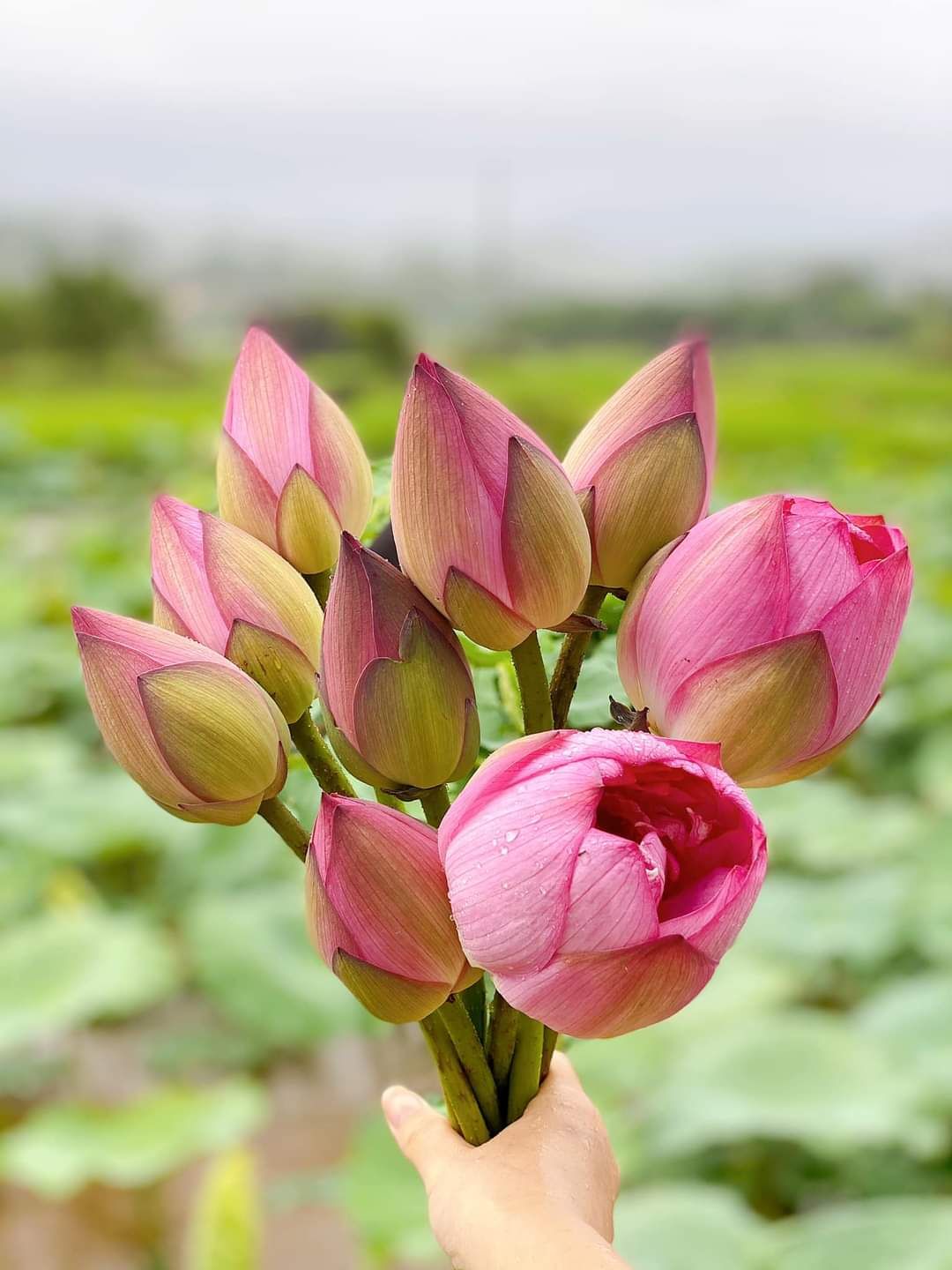 chất lượng sản phẩm tuyệt vời