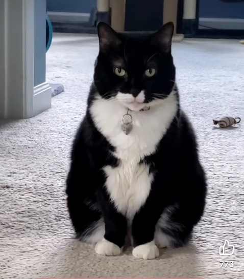 Luôn lựa chọn tiki mỗi khi mua sắm vì giao hàng rất nhanh!!!! Nhân viên giao hàng cũng rất dễ thương nhiệt tình!!!!