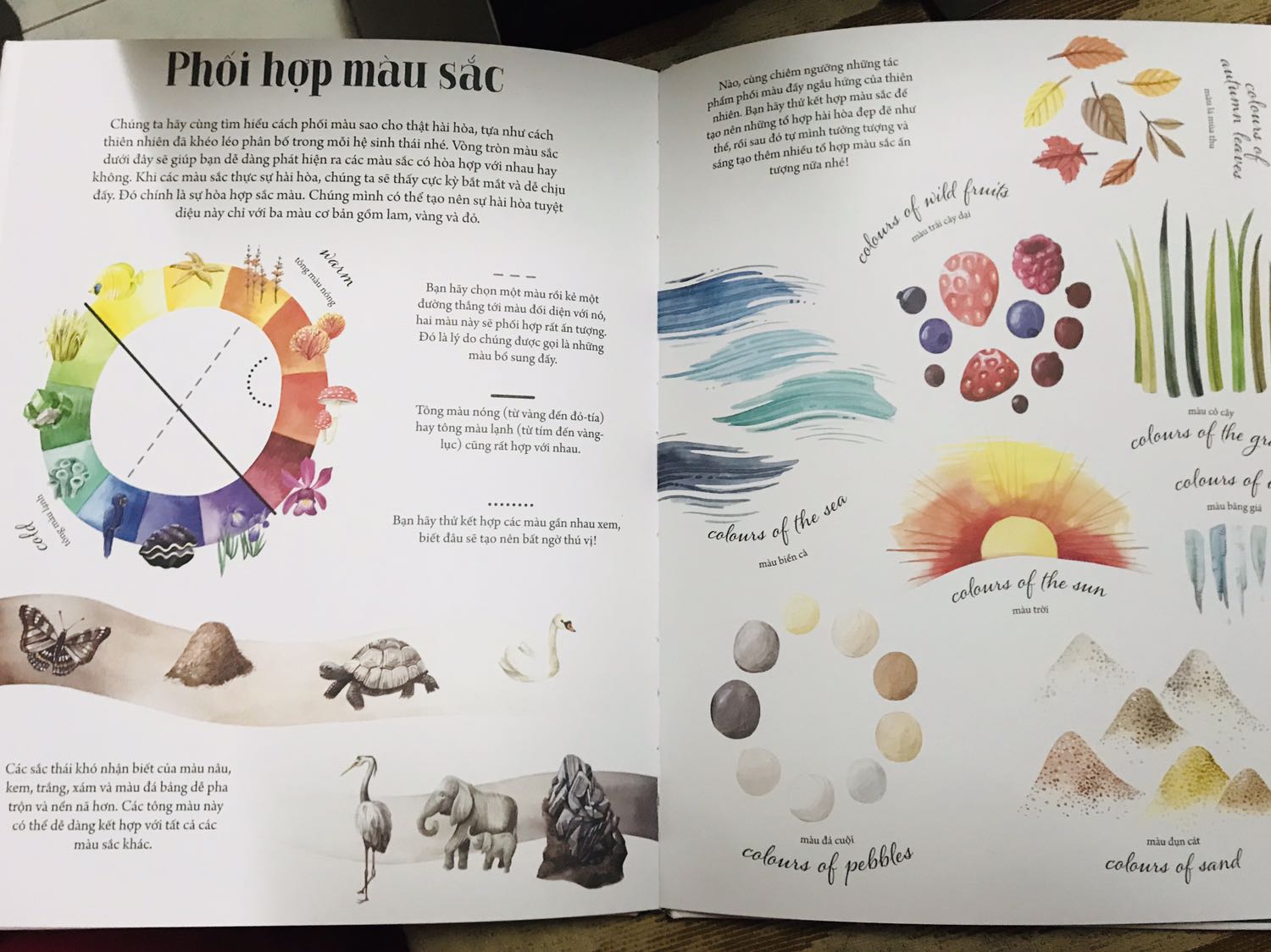 Huy Hoàng âm thầm ra cuốn sách đẹp và chất quá đi mất. Không nhiều chữ nhưng đọc cũng nhiều thơif gian do sẽ thích khám phá từng chữ từng hình vẽ. Một cuốn sách tuyệt vời để nuôi dưỡng tình yêu với vạn vật.