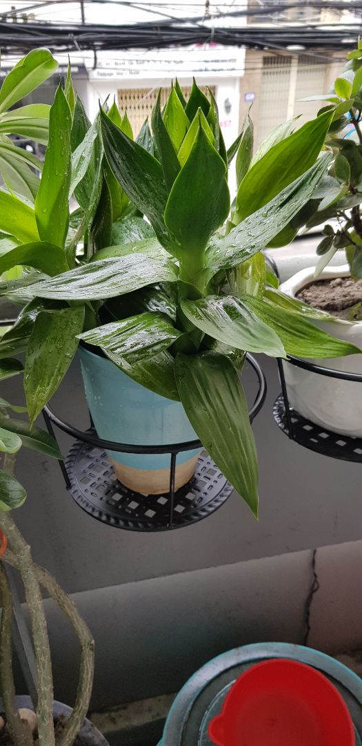 rất tiện.  đẹp