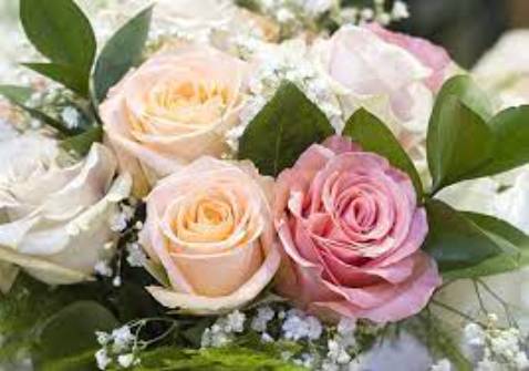 Nồi rất chắc chắn nhé mọi người, shop gửi đóng gói cẩn thận. Nấu  cơm sau 1 tuần thấy nồi nấu nhanh, cơm ngon. Sạch sẽ, Rất ưng ý nha. Cảm ơn shop