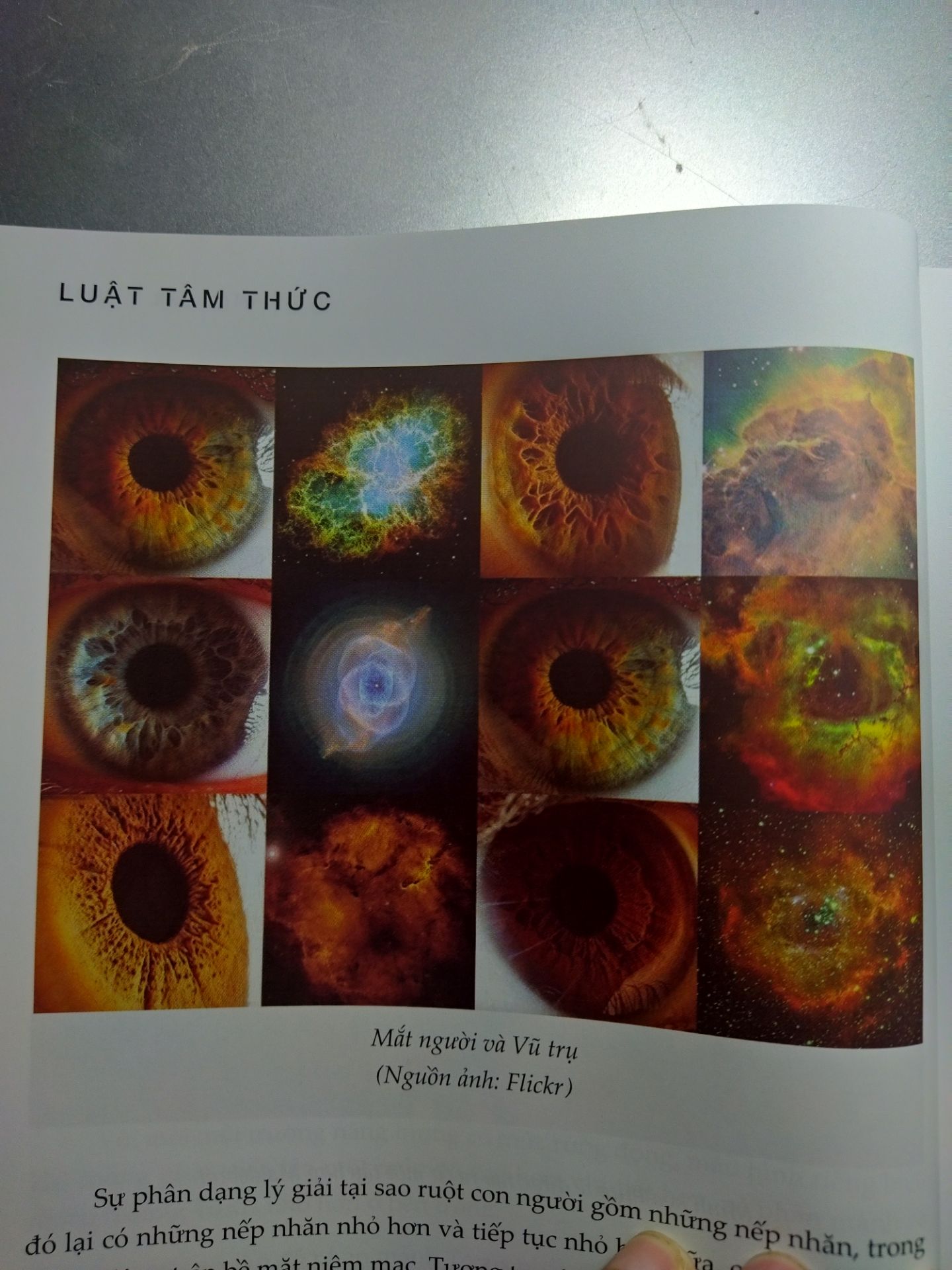 đóng gói ,chất lượng quá ok , ai muốn mua thì mua đi sách rất hay hơi khó hiểu nhưng đọc cỡ 5 lần sẽ hiểu thoi 🤗