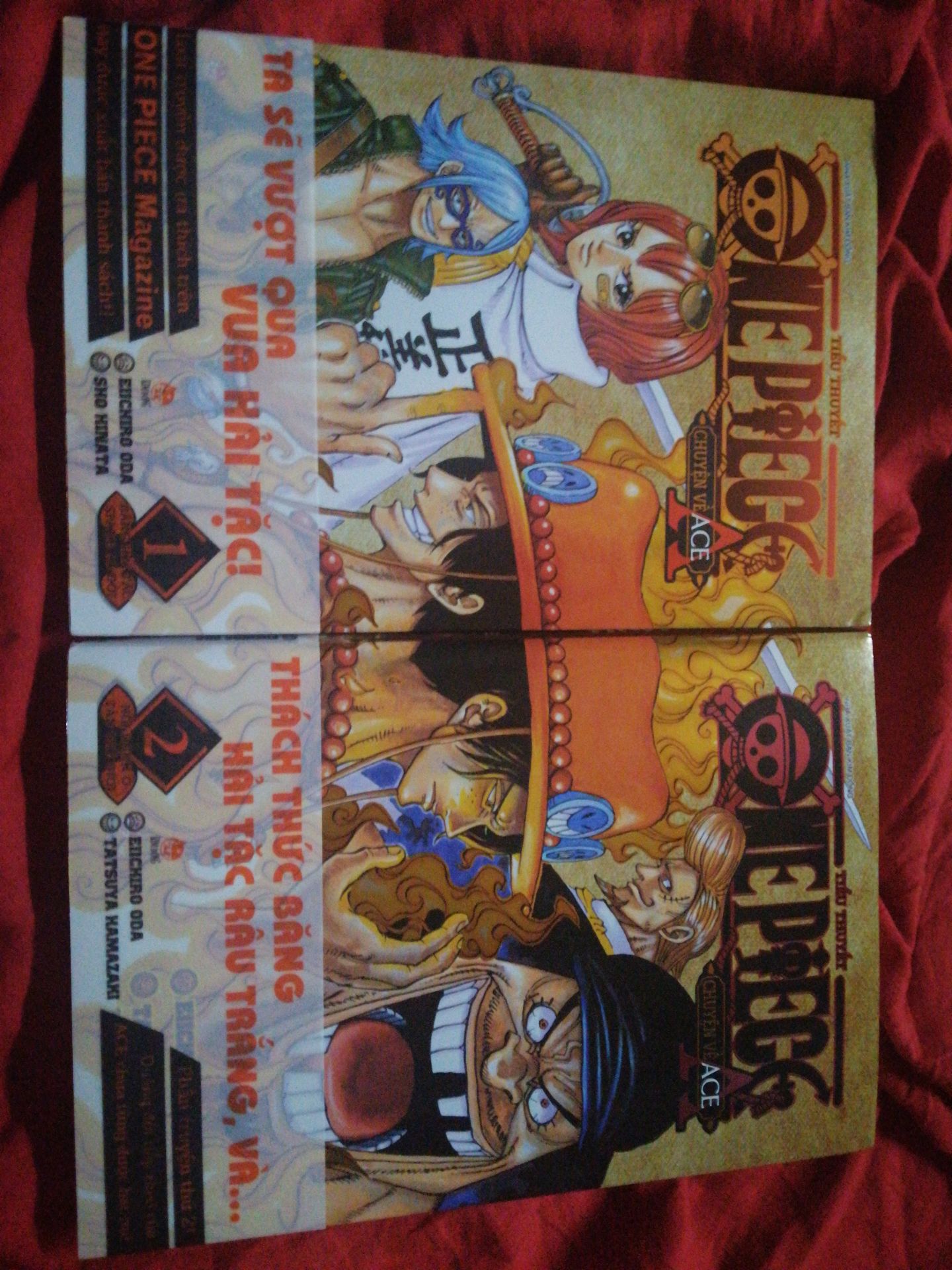 vì là fan One Piece nên mình quyết định rước về chung với bst của mình và cũng vì đây là câu chuyện của Ace, một nhân vật mình rất thương ❤