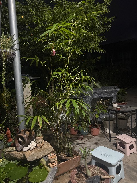 Hàng chính hãng rất đáng đồng tiền