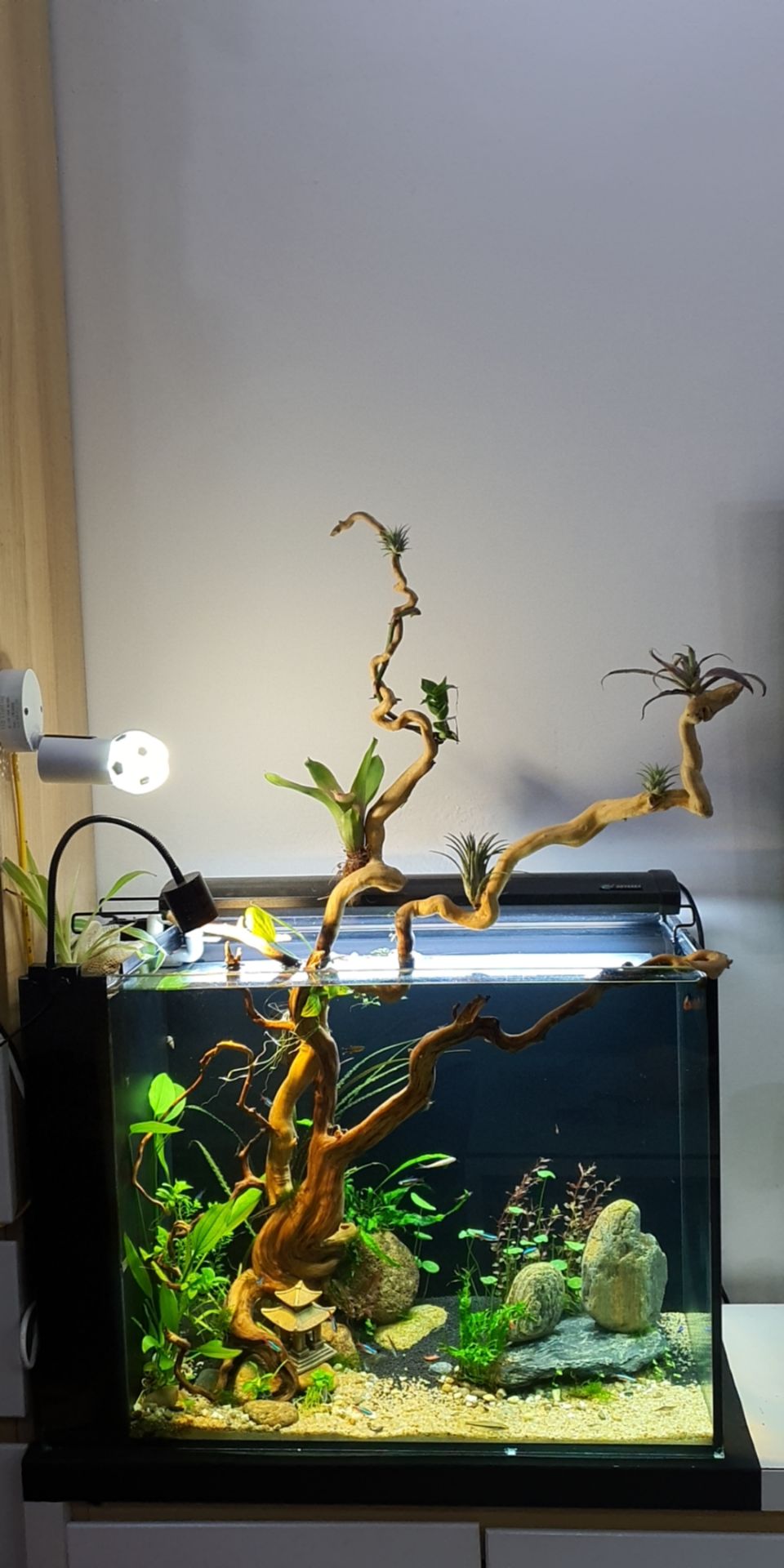 Cực hài lòng với cuốn sách này. Rất bổ ích và lý thú.